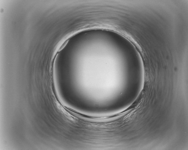 X0000060761532200511141218