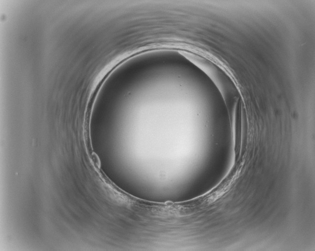 X0000060761533200511141218