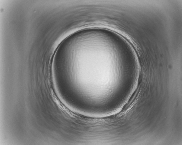 X0000060761534200511141218