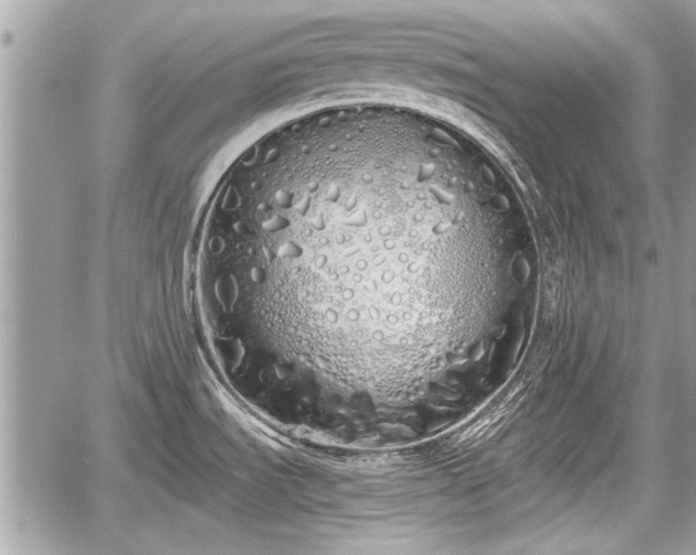 X0000060761535200511141218