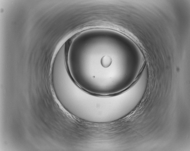 X0000060761536200511141218