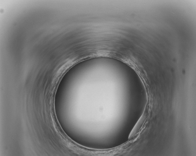 X0000060760001200511171200