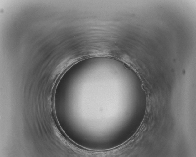 X0000060760002200511171200