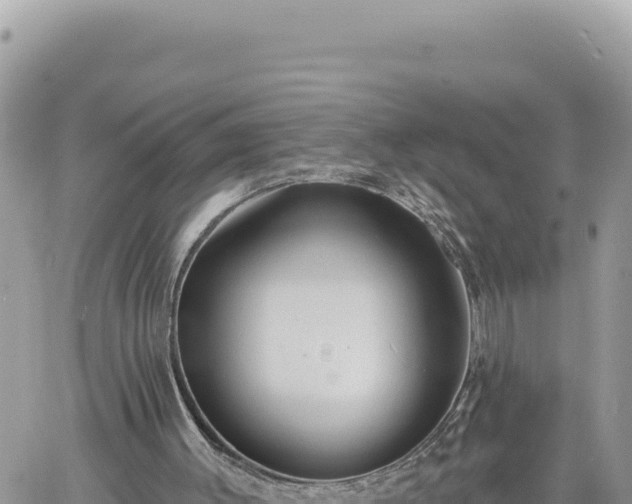 X0000060760003200511171200