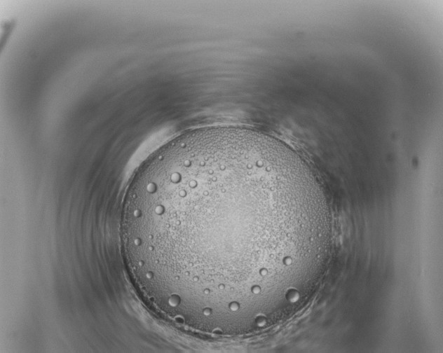 X0000060760004200511171200