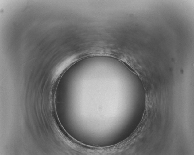 X0000060760005200511171200