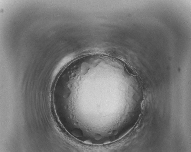 X0000060760006200511171200