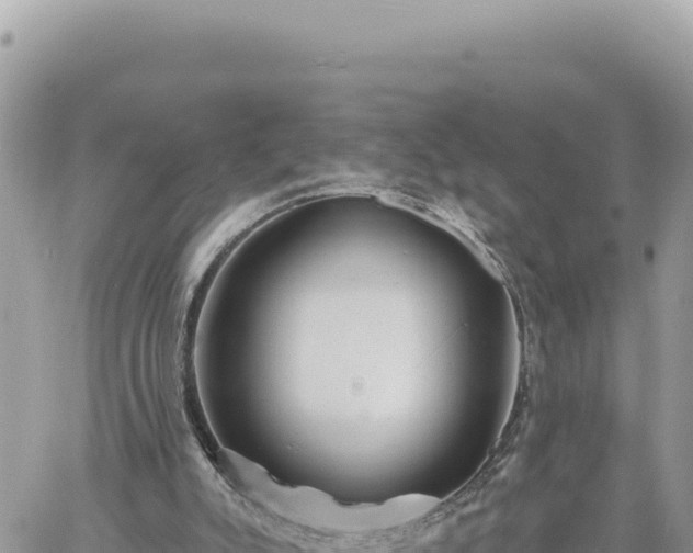 X0000060760007200511171159