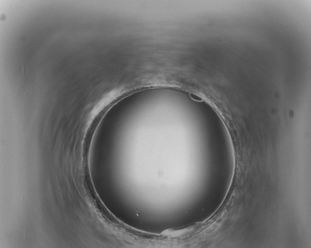 X0000060760008200511171159