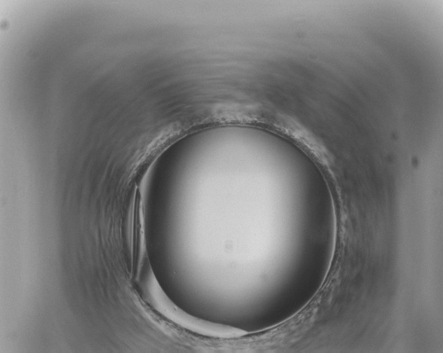 X0000060760009200511171159