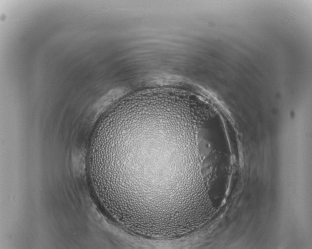 X0000060760010200511171159