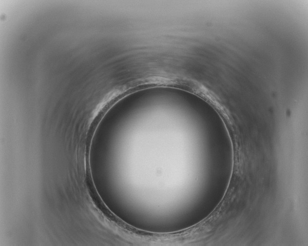 X0000060760011200511171159