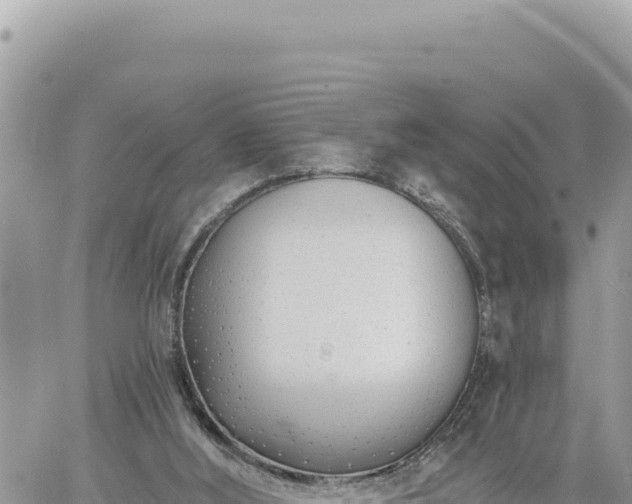 X0000060760012200511171159