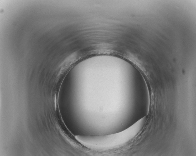 X0000060760013200511171159