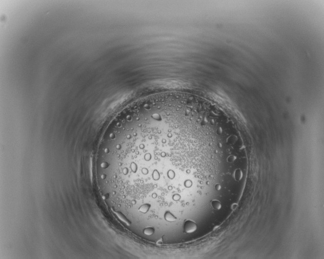 X0000060760014200511171159