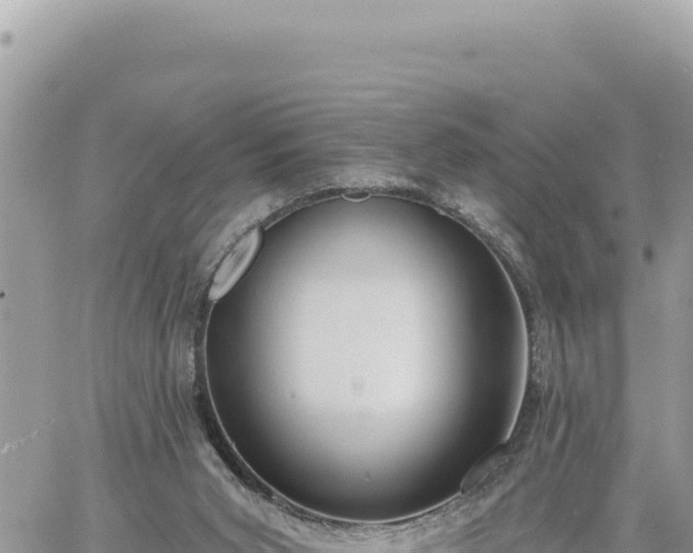 X0000060760015200511171159