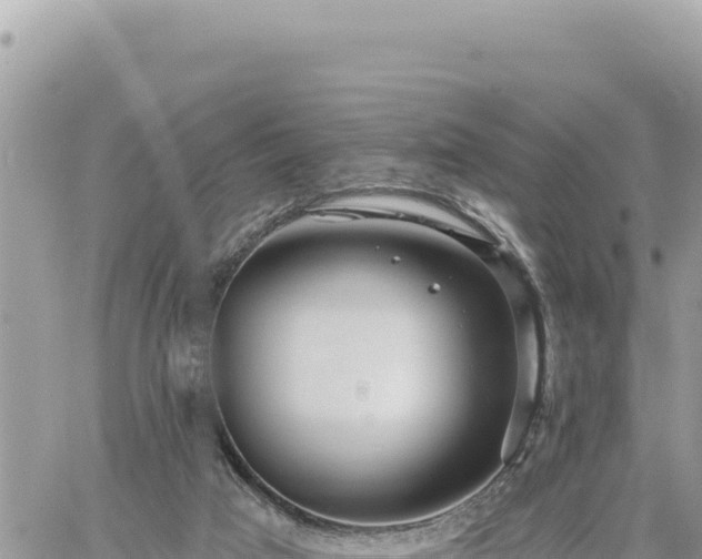 X0000060760017200511171159