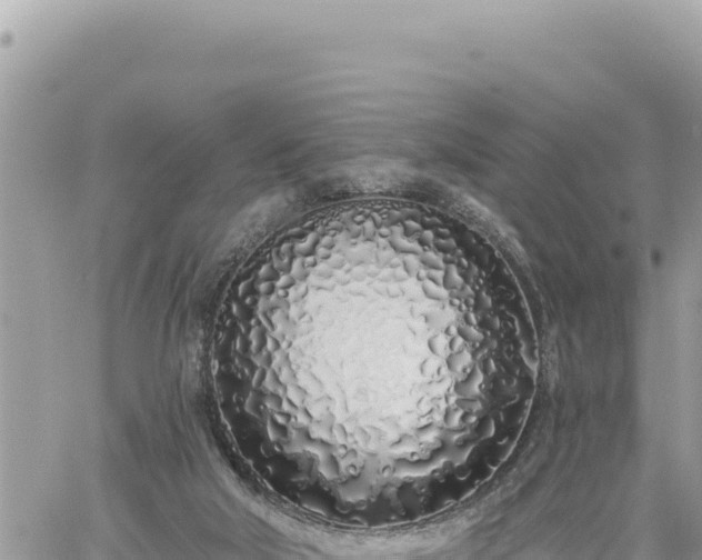 X0000060760018200511171159