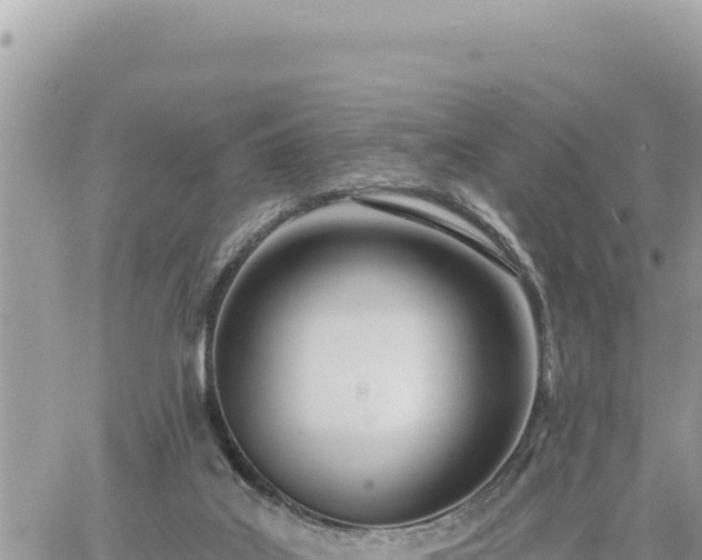 X0000060760019200511171159