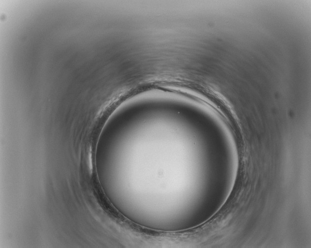 X0000060760020200511171159