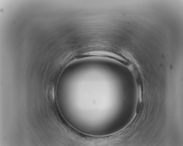 X0000060760021200511171159