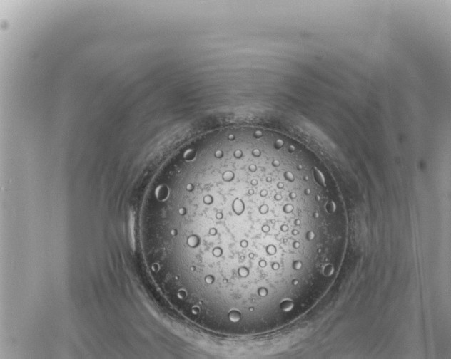 X0000060760022200511171159