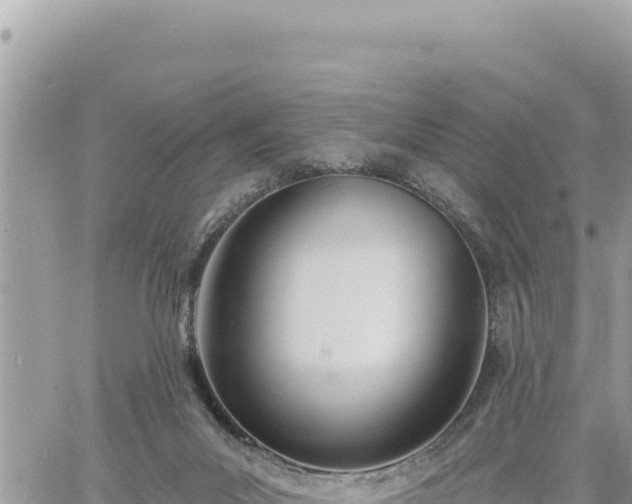 X0000060760023200511171159