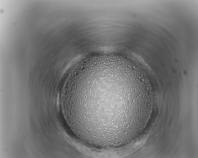 X0000060760024200511171159