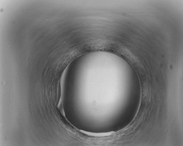 X0000060760025200511171159