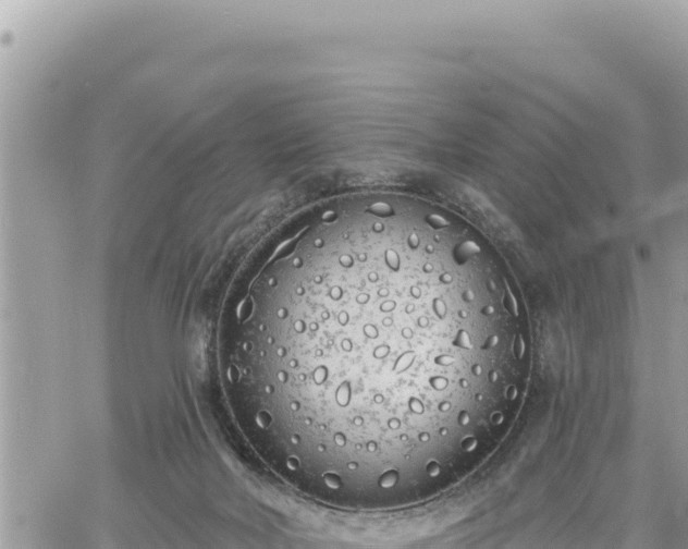 X0000060760026200511171159