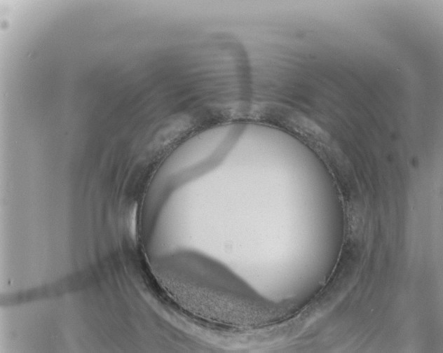 X0000060760028200511171159