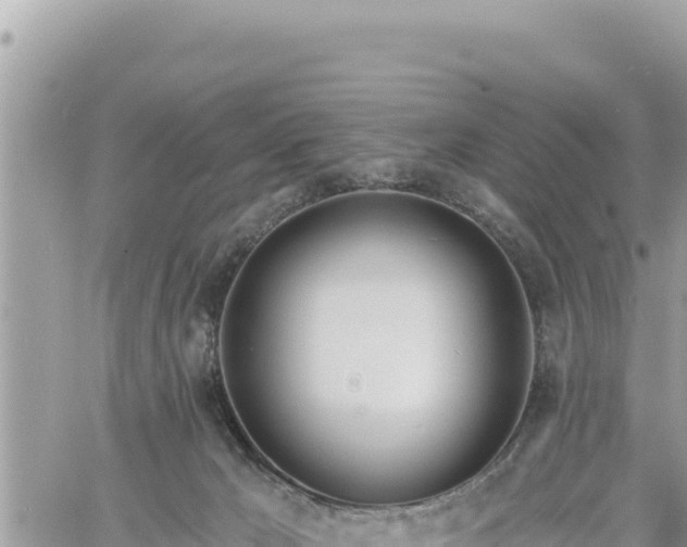 X0000060760029200511171159