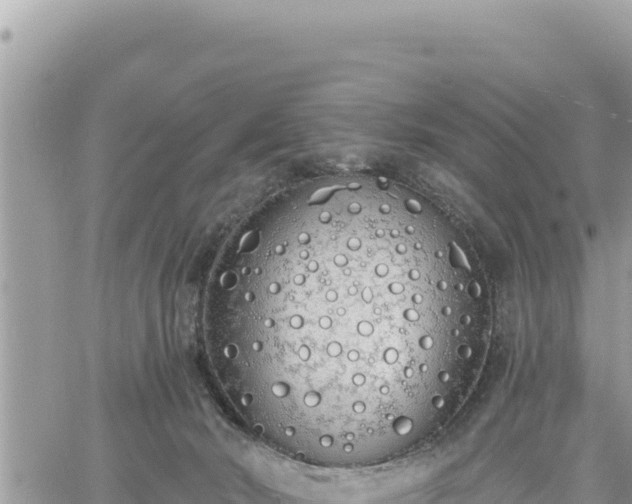 X0000060760030200511171159