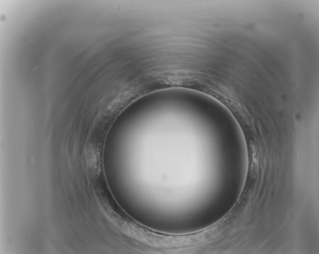 X0000060760031200511171159