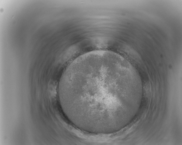 X0000060760032200511171159