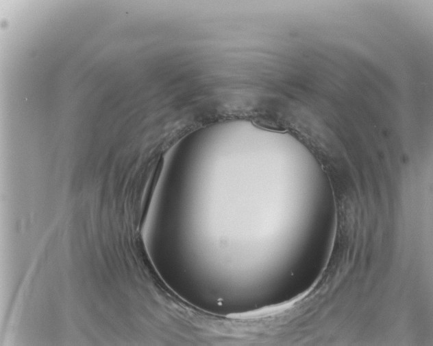 X0000060760033200511171159