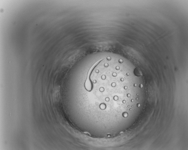 X0000060760034200511171159