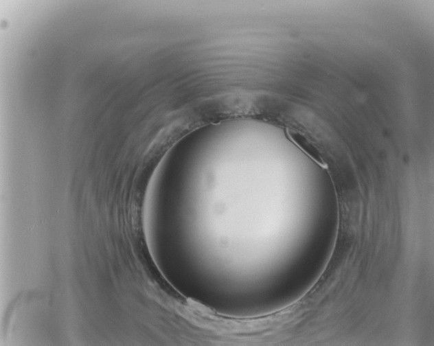 X0000060760035200511171159