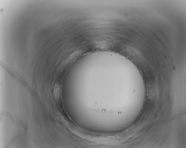 X0000060760036200511171159