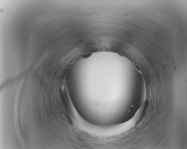 X0000060760037200511171159