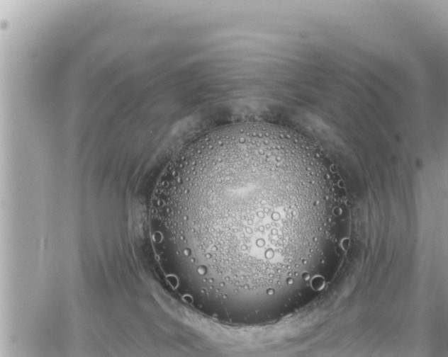 X0000060760038200511171159