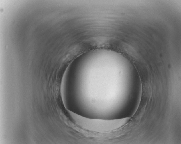 X0000060760039200511171159