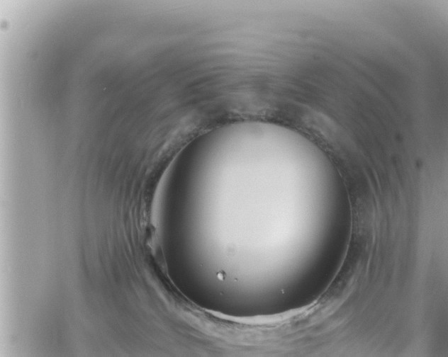 X0000060760040200511171159