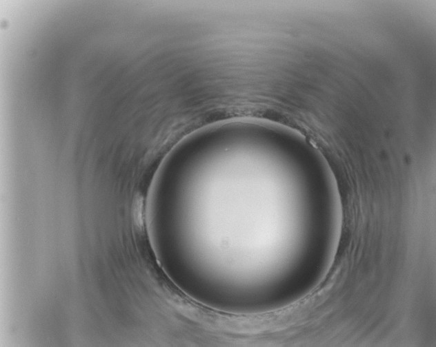 X0000060760041200511171159