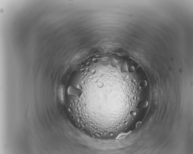 X0000060760042200511171159