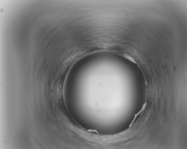 X0000060760043200511171159