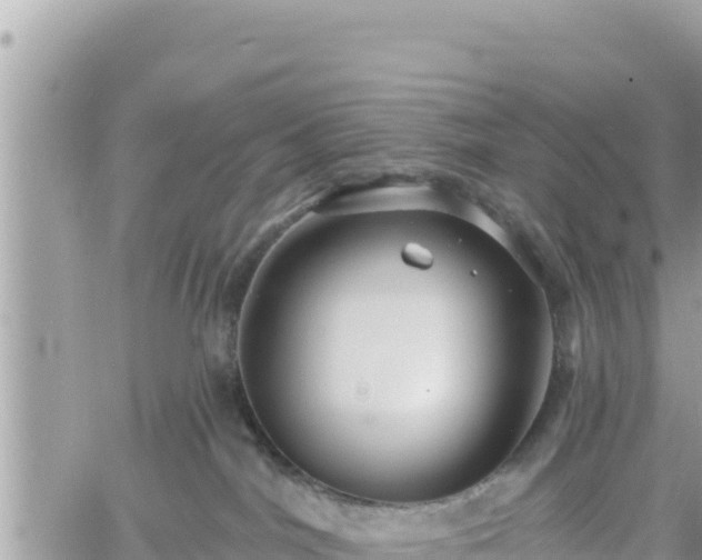 X0000060760044200511171159