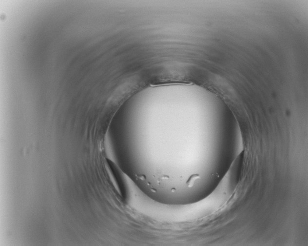 X0000060760045200511171159