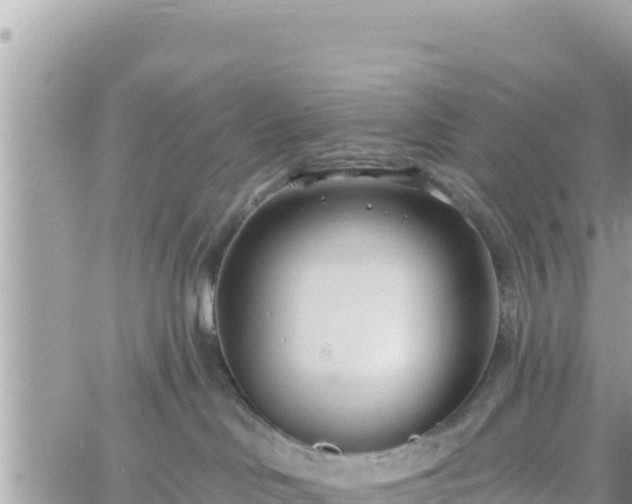 X0000060760046200511171159