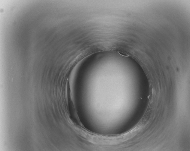 X0000060760048200511171159